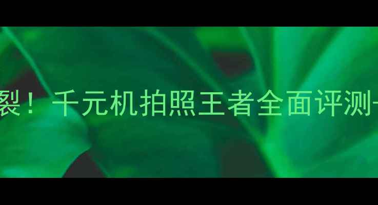 OPPOR399性价比炸裂千元机拍照王者全面评测隐藏功能大公开