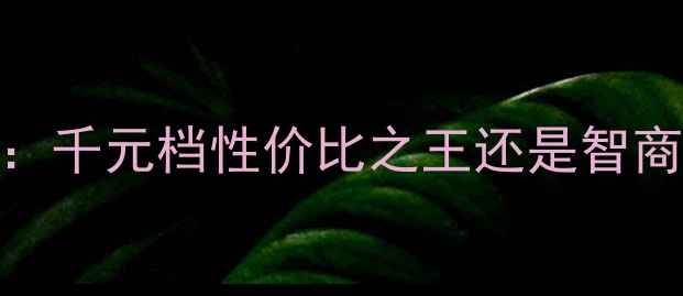 图片 OPPOR8007深度测评：千元档性价比之王还是智商税？真实体验报告1