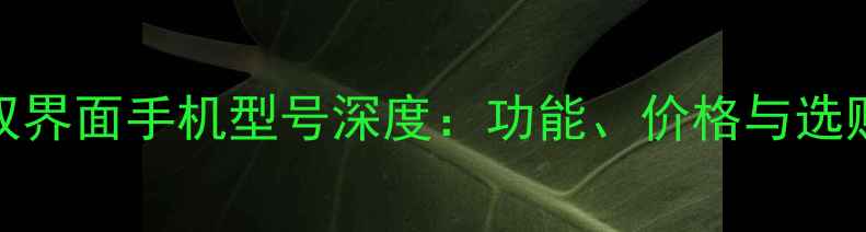 OPPO双界面手机型号深度功能价格与选购指南