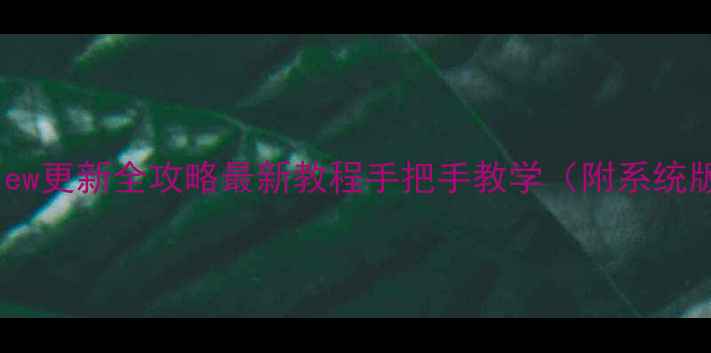 图片 OPPO手机WebView更新全攻略最新教程手把手教学（附系统版本适配清单）