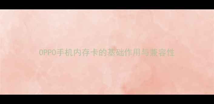图片 OPPO手机内存卡的基础作用与兼容性