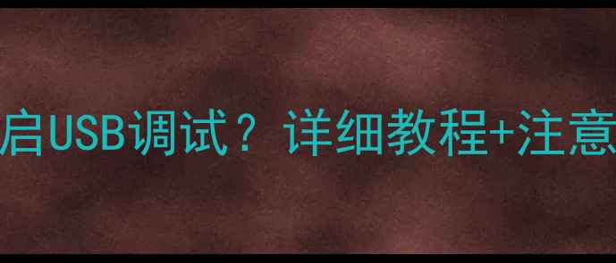图片 OPPO手机如何开启USB调试？详细教程+注意事项（最新版）