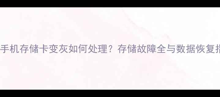 OPPO手机存储卡变灰如何处理存储故障全与数据恢复指南