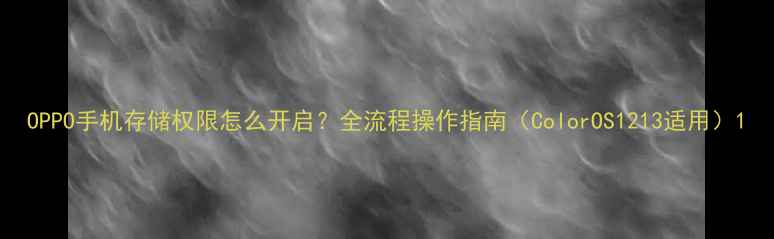 OPPO手机存储权限怎么开启全流程操作指南ColorOS1213适用