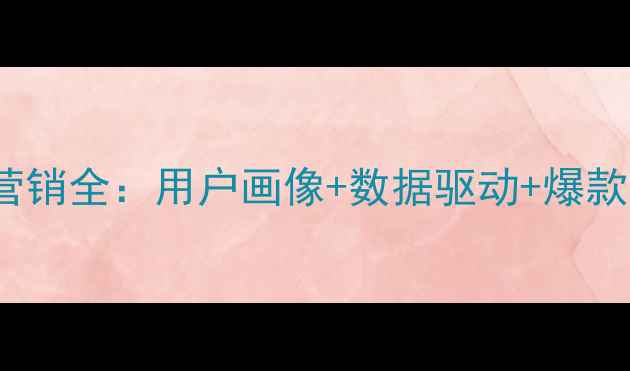 OPPO手机精准营销全用户画像数据驱动爆款策略销量翻倍