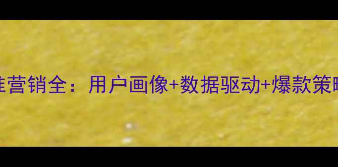 图片 OPPO手机精准营销全：用户画像+数据驱动+爆款策略=销量翻倍2