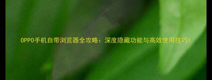 OPPO手机自带浏览器全攻略深度隐藏功能与高效使用技巧