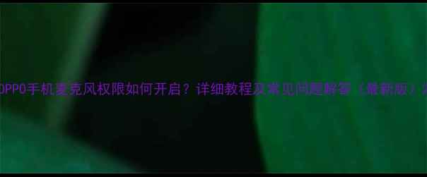 图片 OPPO手机麦克风权限如何开启？详细教程及常见问题解答（最新版）2