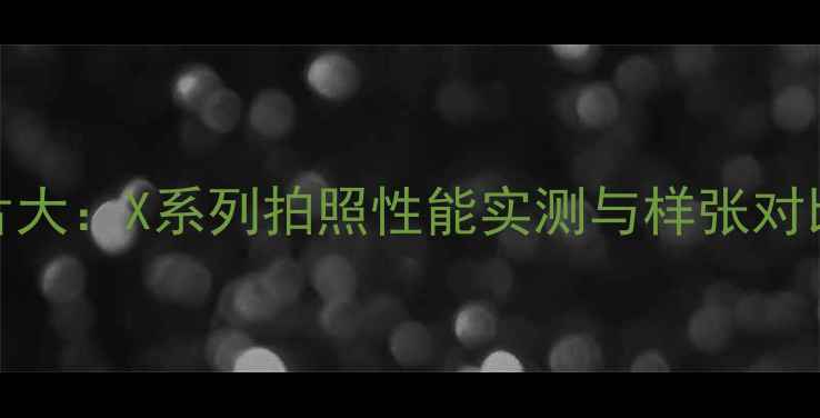 图片 OPPO旗舰手机样片大：X系列拍照性能实测与样张对比（附样片下载）