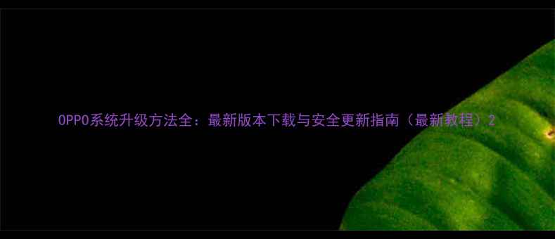 图片 OPPO系统升级方法全：最新版本下载与安全更新指南（最新教程）2