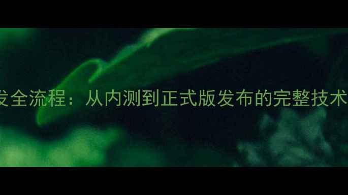 图片 OPPO系统开发全流程：从内测到正式版发布的完整技术（最新版）2