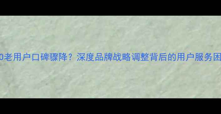 OPPO老用户口碑骤降深度品牌战略调整背后的用户服务困局