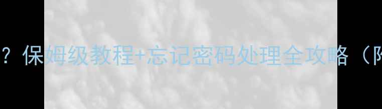 OPPO账号密码在哪保姆级教程忘记密码处理全攻略附安全设置指南