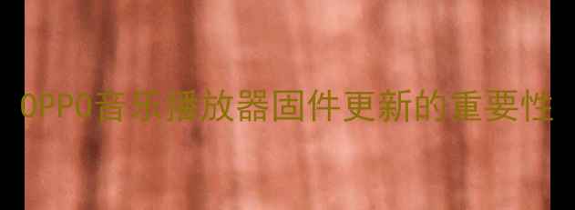 图片 OPPO音乐播放器固件更新的重要性