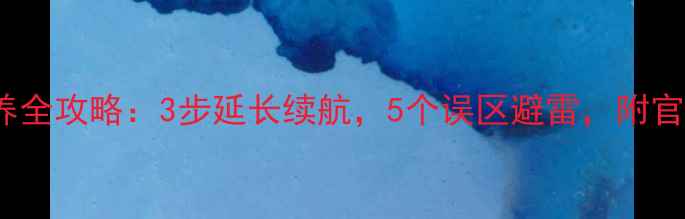 R11电池保养全攻略3步延长续航5个误区避雷附官方维护指南