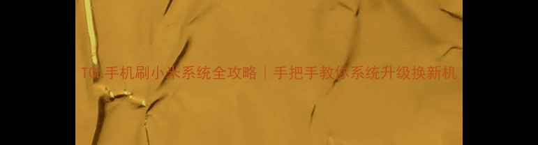 图片 TCL手机刷小米系统全攻略｜手把手教你系统升级换新机