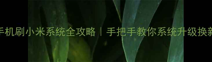 图片 TCL手机刷小米系统全攻略｜手把手教你系统升级换新机1