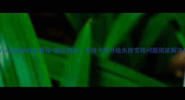 图片 VivoY85刷机全教程+避坑指南：系统卡顿升级失败变砖问题彻底解决1