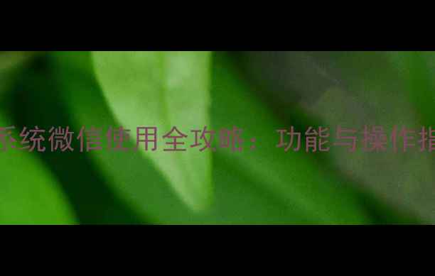 图片 WP7系统微信使用全攻略：功能与操作指南2