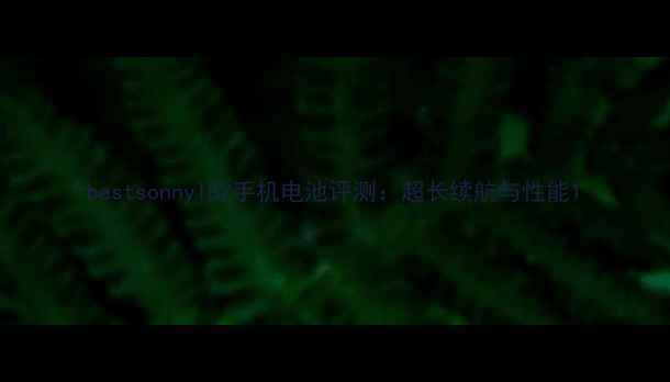 图片 bestsonnyl82手机电池评测：超长续航与性能1