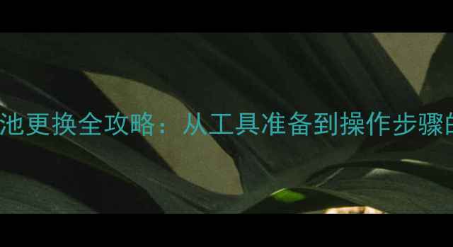 iPhone13电池更换全攻略从工具准备到操作步骤的完整指南