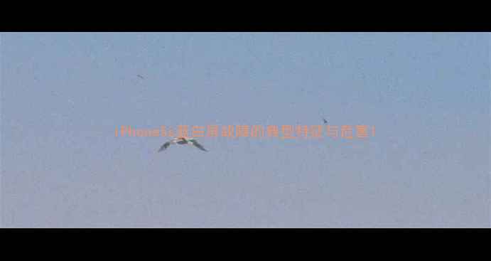 图片 iPhone5s蓝白屏故障的典型特征与危害1