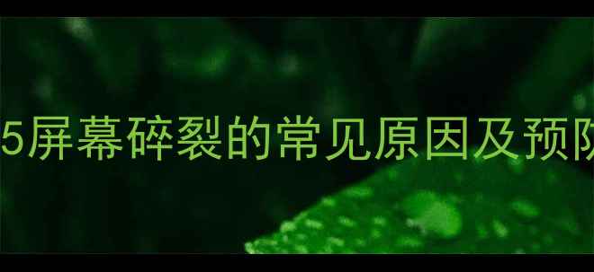 图片 iPhone5屏幕碎裂的常见原因及预防措施1