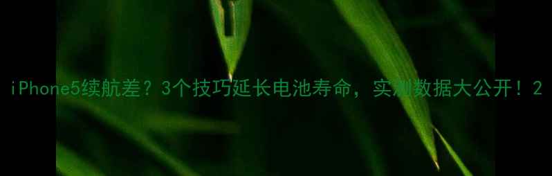 图片 iPhone5续航差？3个技巧延长电池寿命，实测数据大公开！2
