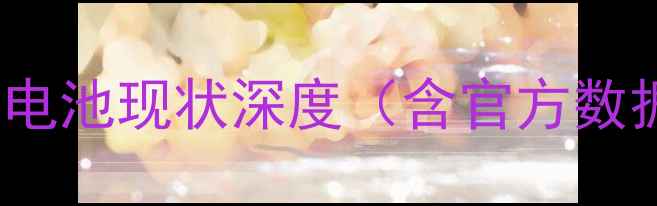 iPhone6s电池现状深度含官方数据对比