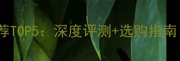 图片 iPhone6电池推荐TOP5：深度评测+选购指南（附更换攻略）