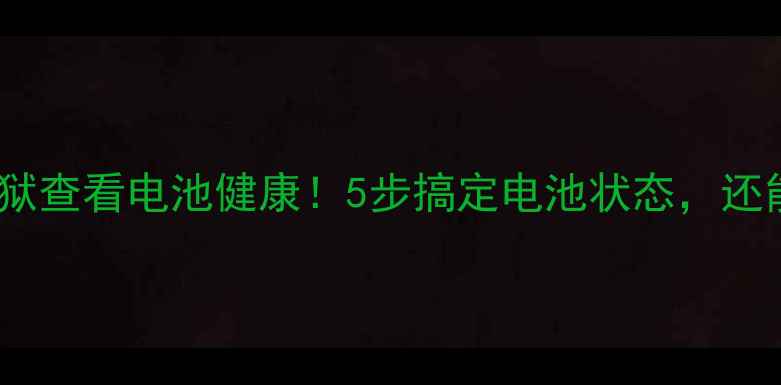 图片 iPhone不越狱查看电池健康！5步搞定电池状态，还能延长续航2