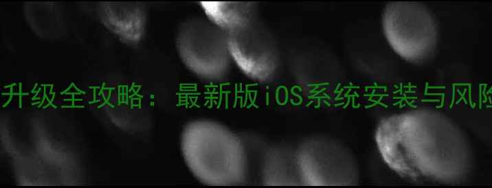 图片 iPhone固件升级全攻略：最新版iOS系统安装与风险规避指南2