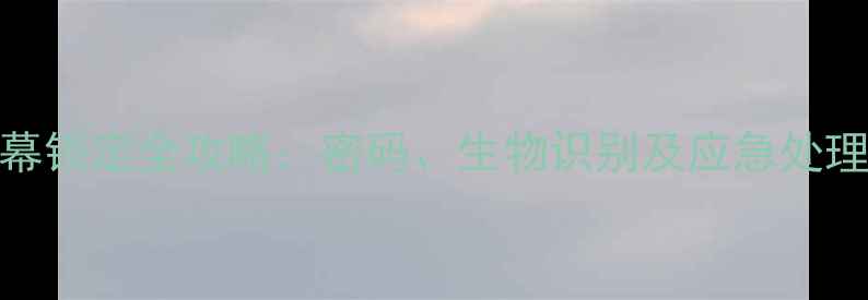 图片 iPhone屏幕锁定全攻略：密码、生物识别及应急处理步骤详解