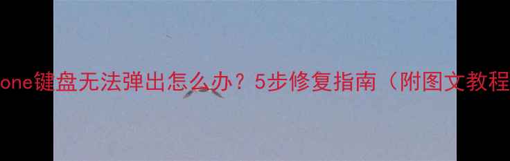 图片 iPhone键盘无法弹出怎么办？5步修复指南（附图文教程）1