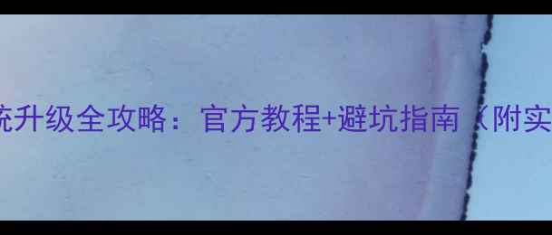 iVox21系统升级全攻略官方教程避坑指南附实测报告