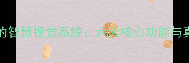 图片 vivoX90Pro3的智慧视觉系统：六大核心功能与真实体验评测1