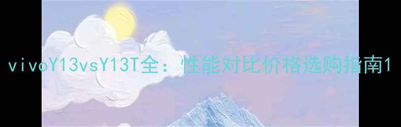 vivoY13vsY13T全性能对比价格选购指南