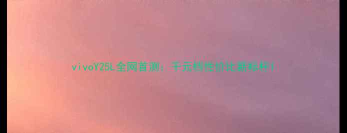 vivoY25L全网首测千元档性价比新标杆