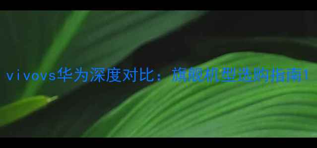 图片 vivovs华为深度对比：旗舰机型选购指南1