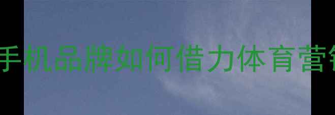 图片 vivo冠名世界杯：智能手机品牌如何借力体育营销实现品牌升级？深度2