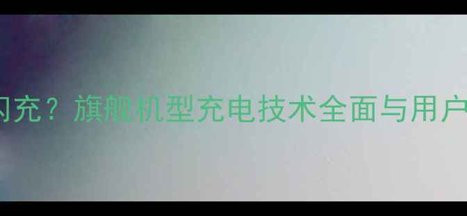 图片 vivo取消闪充？旗舰机型充电技术全面与用户实测报告2