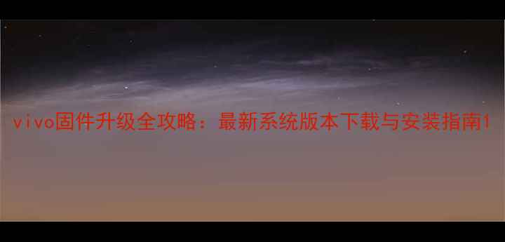 vivo固件升级全攻略最新系统版本下载与安装指南