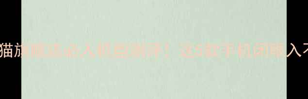 图片 vivo天猫旗舰店必入机型测评！这5款手机闭眼入不踩雷1