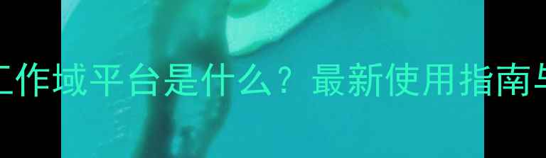 vivo工作域平台是什么最新使用指南与功能