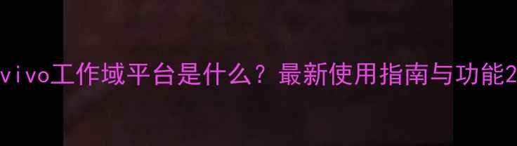 图片 vivo工作域平台是什么？最新使用指南与功能2