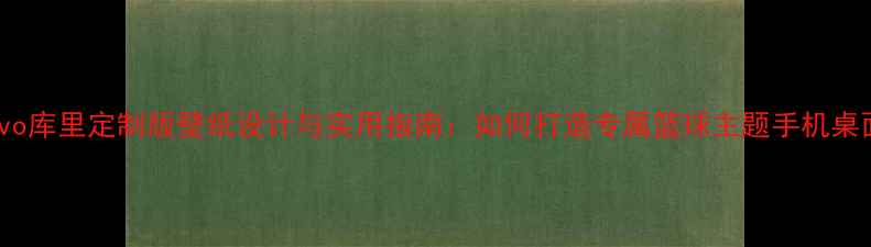 图片 vivo库里定制版壁纸设计与实用指南：如何打造专属篮球主题手机桌面2