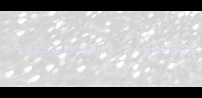 vivo手机权限管理的重要性vivo手机权限管理