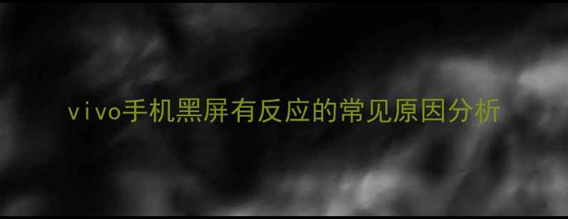 vivo手机黑屏有反应的常见原因分析