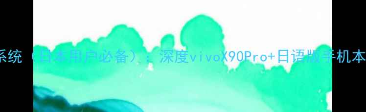 图片 vivo日语系统（日本用户必备）：深度vivoX90Pro+日语版手机本地化服务2