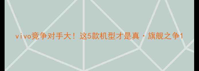 图片 vivo竞争对手大！这5款机型才是真·旗舰之争1